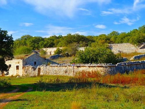 B&B Da Francesco Locazione Turistica Ruvo di Puglia Eksteriør bilde